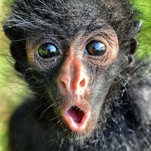 Meet your Posher, Mem